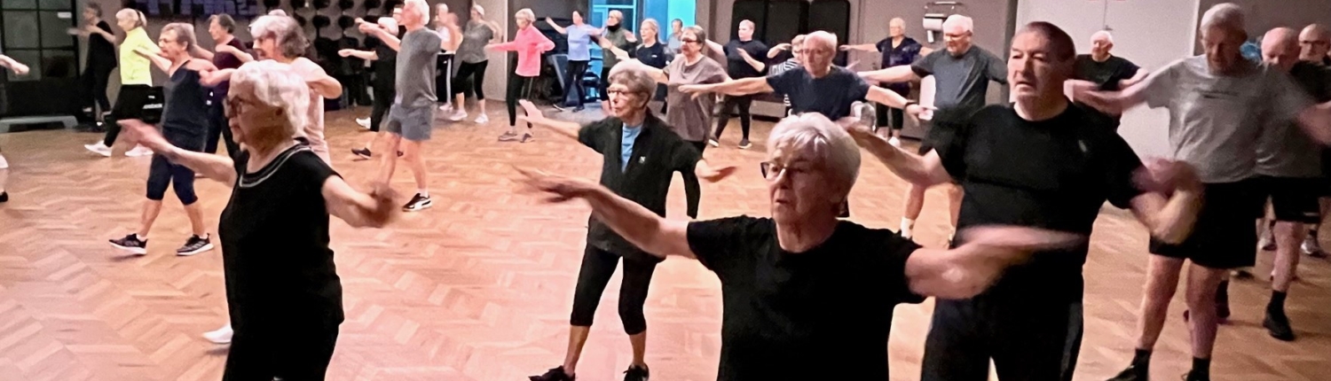 vedtægter